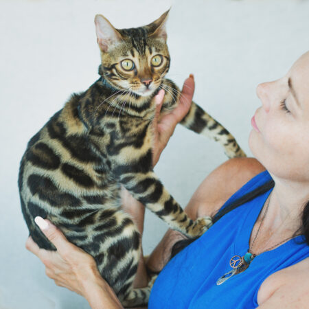 The Rise of the “Cat Mom Starter Pack” — What’s Worth the Hype?