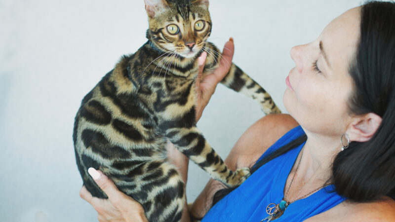 The Rise of the “Cat Mom Starter Pack” — What’s Worth the Hype?