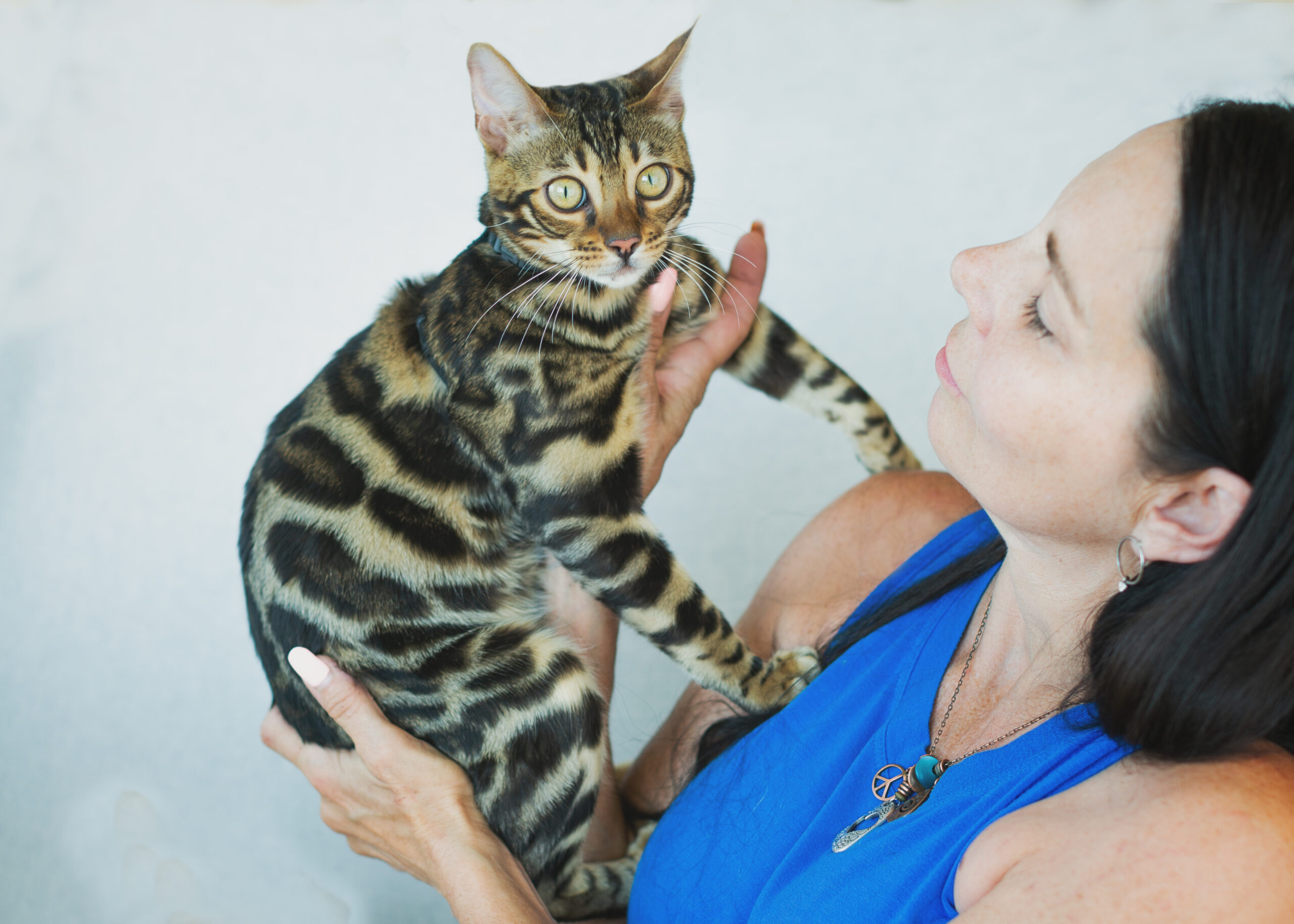 The Rise of the “Cat Mom Starter Pack” — What’s Worth the Hype?