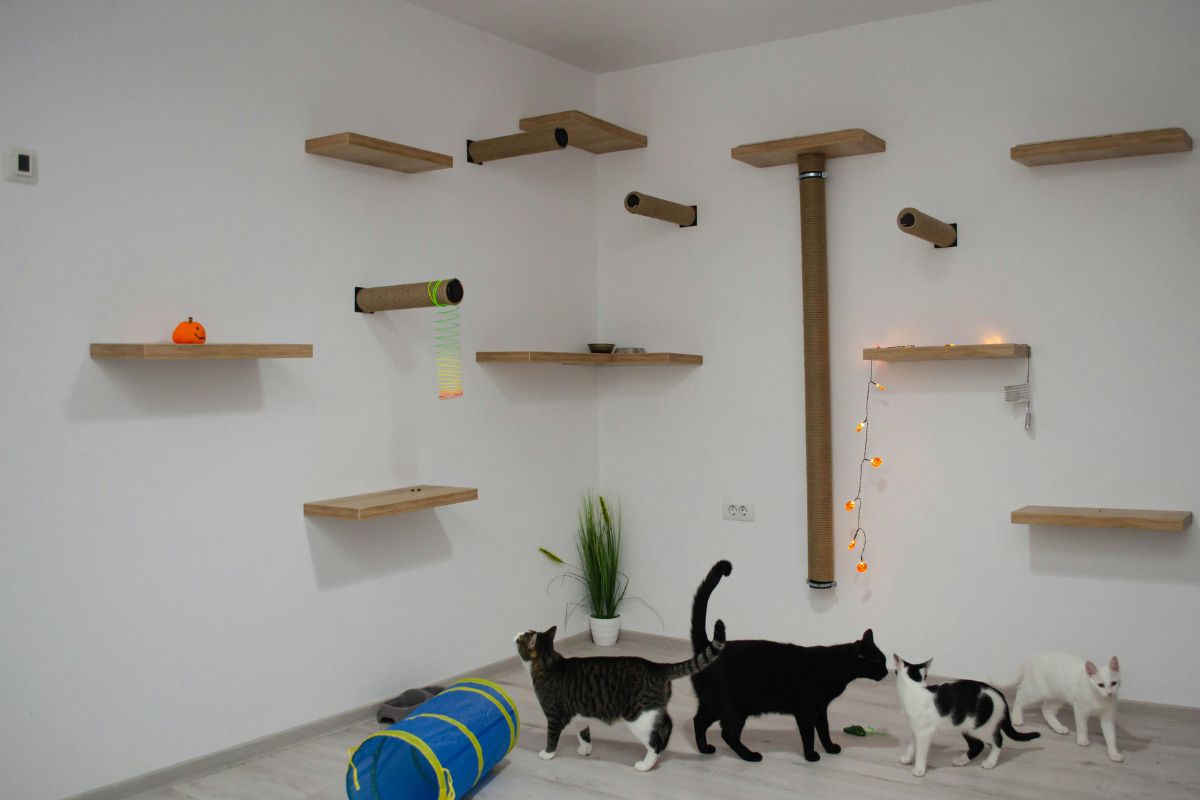 Cat Furniture That Doubles as Stylish Home Decor: My Favorite Finds