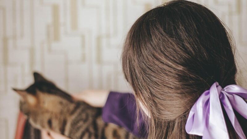 How to Control Cat Allergies at Home (Without Saying Goodbye to Your Cat)